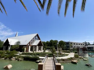 Phans55 - Los Olivos