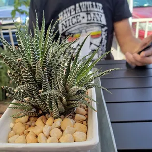 Cute table setup