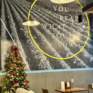 You Reap What You Sow