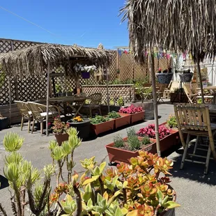 Patio outdoors
