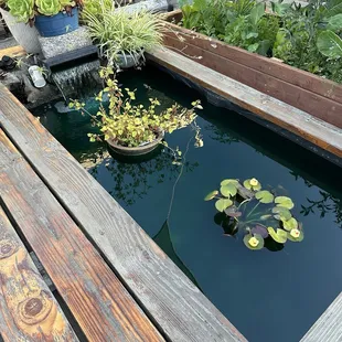 The peaceful pond! Wonderful outdoor dining set up.