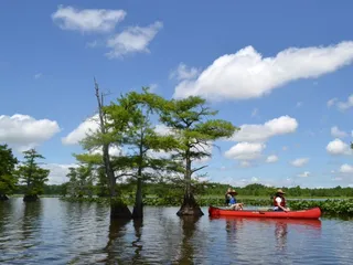 Reelfoot Lake State Park