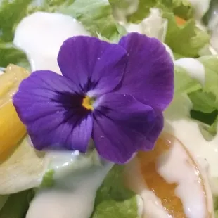 Nice added touch to the salad.