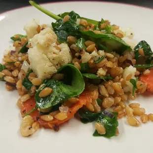 Now making fresh salads ready for pickup!  Featured here is our cauliflower, carrot, and ancient grain wheatberry salad.
