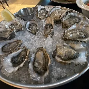 The oysters are *real* good.