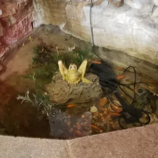 oysters and mussels, outside