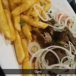 Gyro Plate