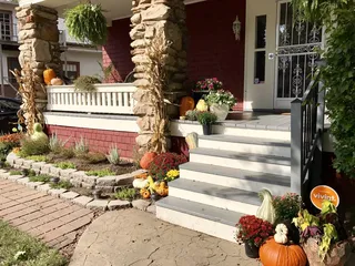 Sunshine Flowers