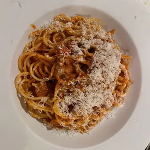 a plate of spaghetti with sauce and parmesan cheese
