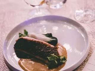 Paradox Catering & Consulting