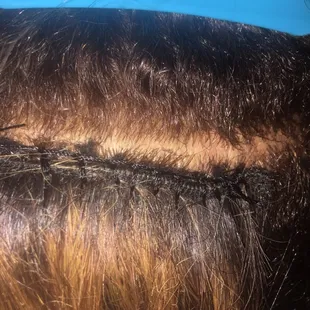 Neat Stitching on install in progress