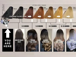 Halo Hair Studio