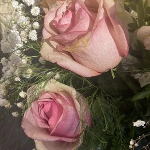 Dying and dry flowers.