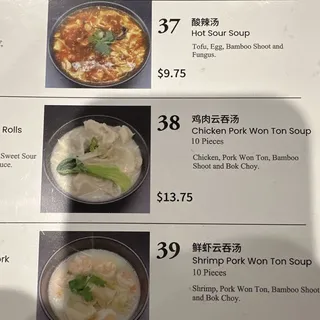 38 Chicken Pork Won Ton Soup