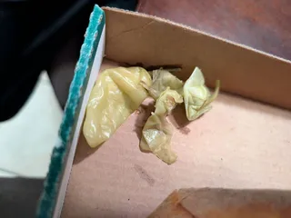 Papa Johns Pizza