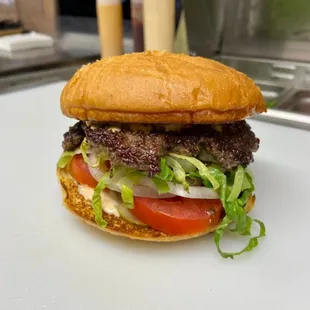 Plain Hamburger with House Speical Sauce