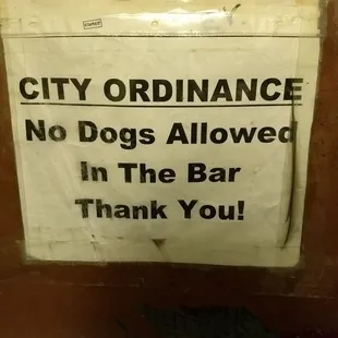 no dogs allowed