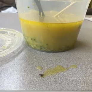 BUGS IN FOOD