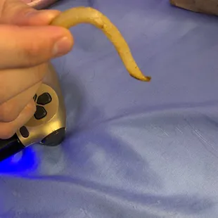 I pretty sure fries aren't supposed to be this undercooked and soggy