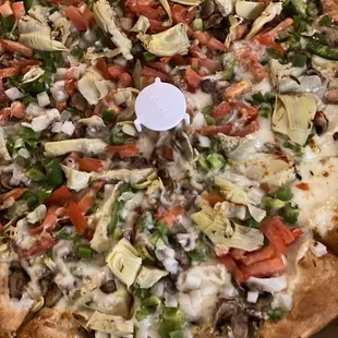 Garlic Vegetarian Pizza