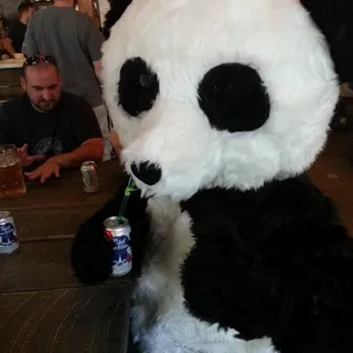 Chef Panda P.