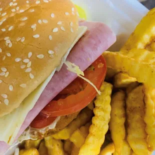 a sandwich and french fries in a styrofoam container