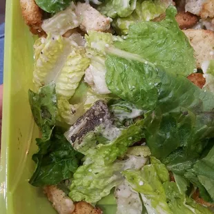 Mud I found in my salad!