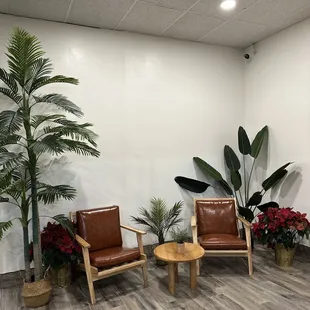 Tropical decor