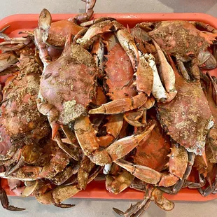 Dozen Large Crabs