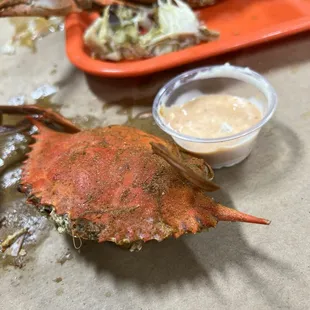 "Large" crab.. little bigger than sauce container!
