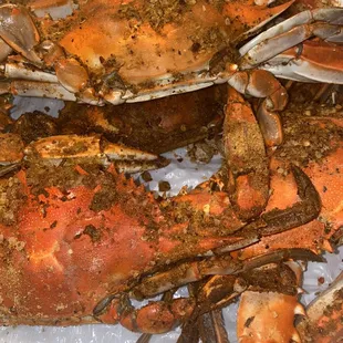 Large crabs