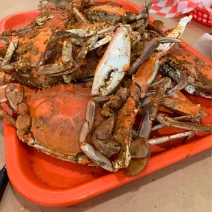 a pile of crabs