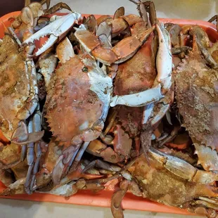 Fatboys crabs