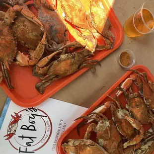 oysters and mussels, mussels, oysters, shellfish, food