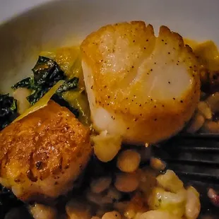 Pan Seared Sea Scallops