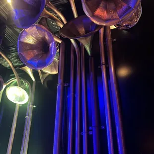 a bunch of musical instruments