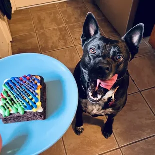 Pride  brownie