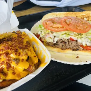 Steak hoagie and bacon cheese fries
