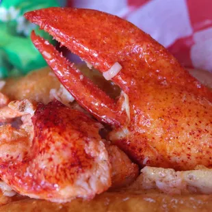 Close up of a lobster claw in my buttered lobster roll.