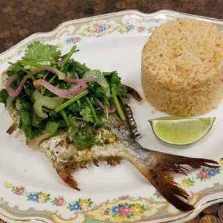 Whole Fish