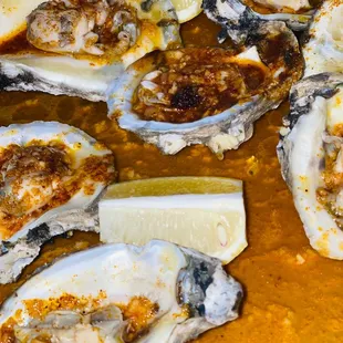 shellfish, food, mussels, oysters and mussels, oysters