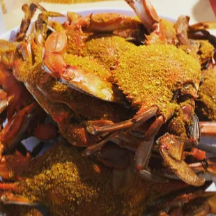 Blue crabs