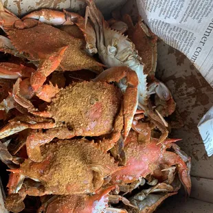 Blue crabs
