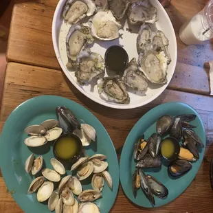 Dozen oysters clams and mussels