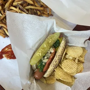 Chicago Dog