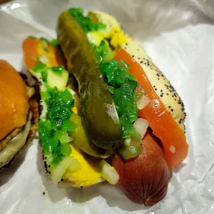 Chicago Dog