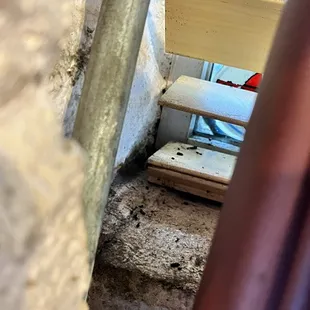 rat caca