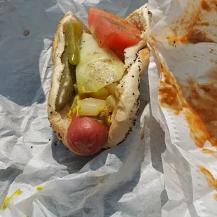 Chicago hot dog