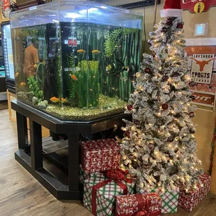 Find the turtle in the aquarium!
