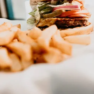 Cheeseburger and Fries